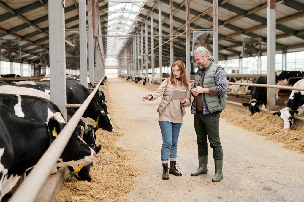 British Farm Products​