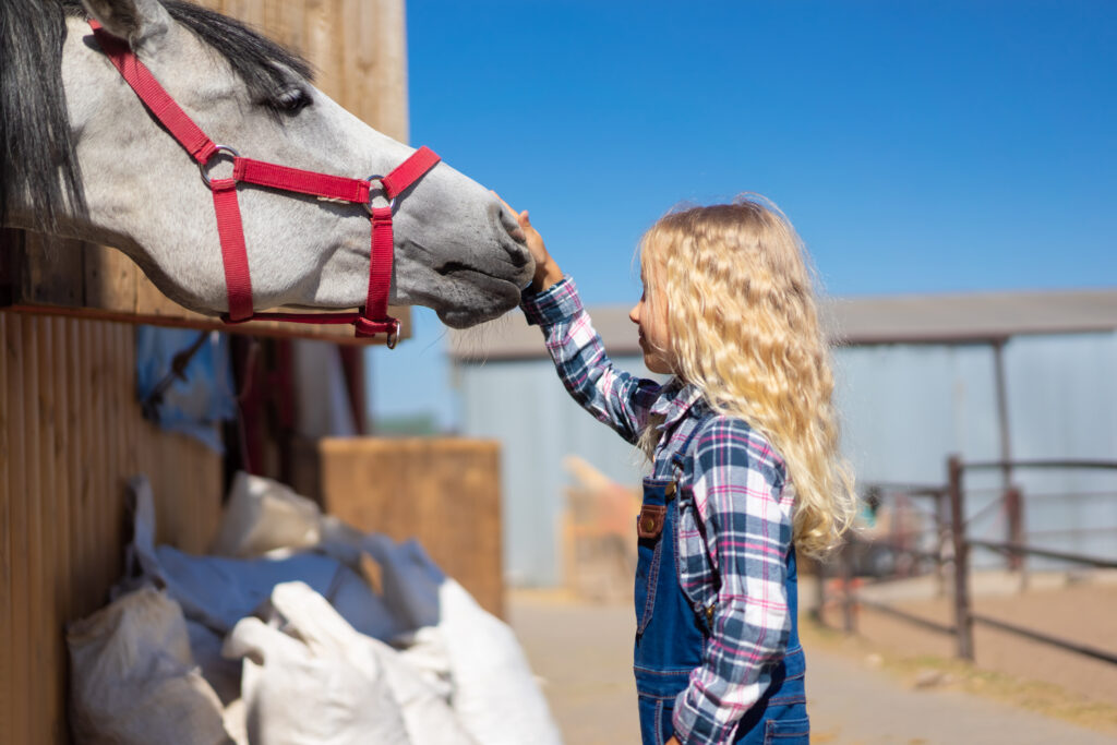 Pets, Livestock & Equestrian